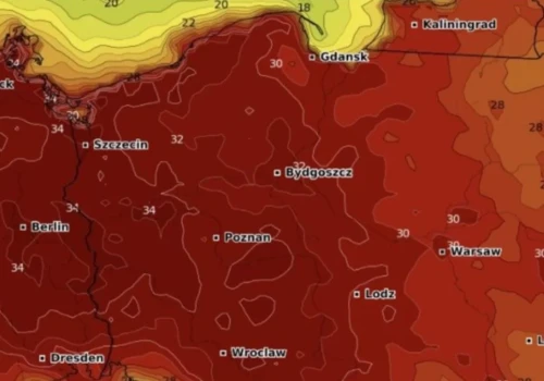 Gorąca prognoza pogody na lato. Dlaczego polskie miasta nie biją na alarm?