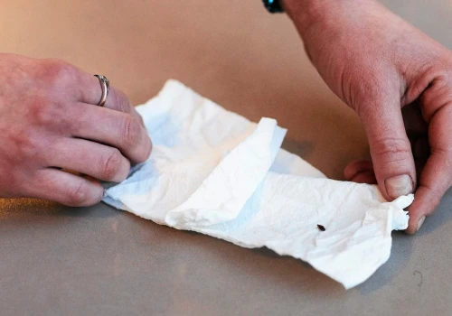 Po wejściu do pokoju hotelowego szukaj takich znaków. To mogą być pluskwy
