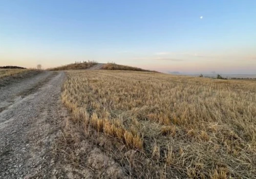 Ruiny sprzed tysięcy lat, ślady wielkiej bitwy i pałacowe dokumenty z Iraku