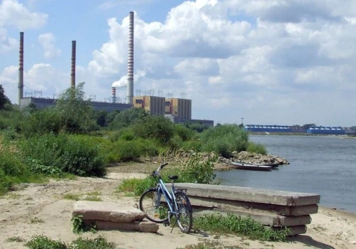 Elektrownia Kozienice na celowniku organizacji ekologicznych. RDOŚ oczekuje naprawy szkód dla Wisły i ryb