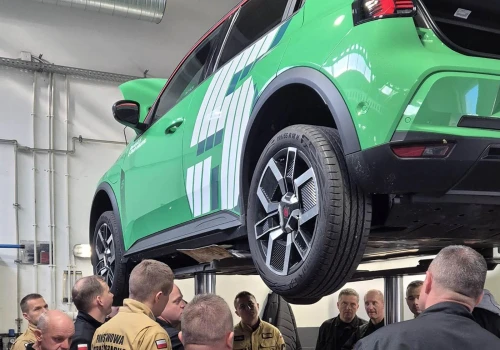 Sprytna taktyka się sprawdza. Renault i Citroën mają sposób na chińskie samochody