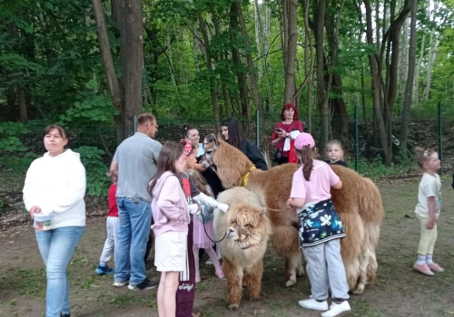 Zabawa połączona z edukacją o zdrowiu psychicznym. II Festyn Rodzinny w szpitalu na Srebrzysku