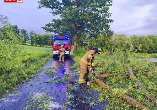 Nawałnica nad powiatem lwóweckim