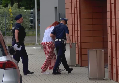 Makabryczne odkrycie w Lutoryżu. Patomorfolog przyznała się do zakopania płodów