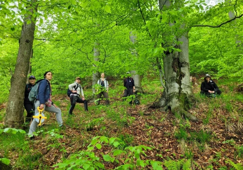 50 bohaterów naszych starolasów. „Nie pozwolimy im zniknąć po cichu”