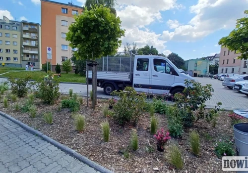 Nowe rabaty w Raciborzu. Mają lepiej znosić suszę i mniej kosztować w utrzymaniu