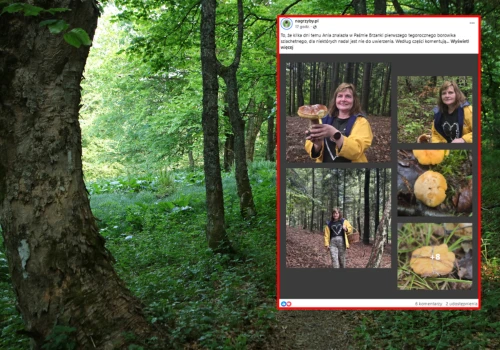 Poszli na grzyby, pokazali, co znaleźli. 