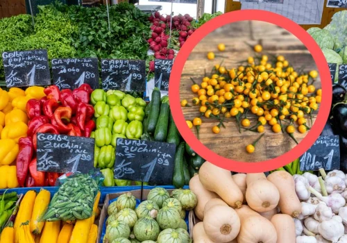 74 tys. zł za kilogram. Tyle kosztuje najdroższe warzywo na świecie