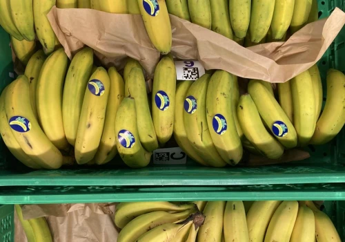 Kryzys kanaryjskiego platana: banan przejmuje rynek w Hiszpanii