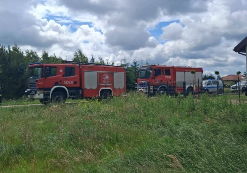 Dramatyczny wypadek pod Koninem. Prąd poraził zwierzęta na wybiegu