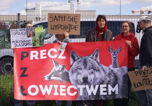 Kraków przeciw promocji myślistwa? Rada Miasta przyjęła rezolucję w sprawie Hunt Ex
