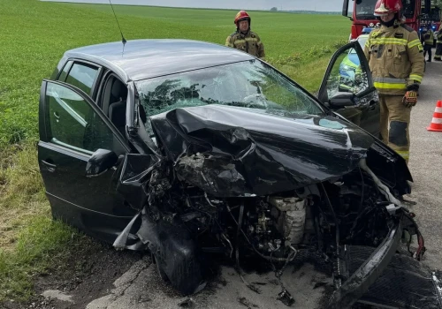 Auto roztrzaskało się na drzewie. Kierująca trafiła do szpitala