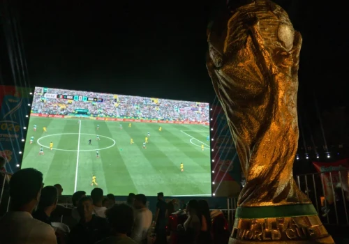Młodzi wykształceni i z wielkich ośrodków o mundialu i ekonomii