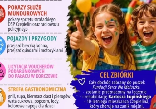 Charytatywny Piknik dla Bartosza Łupińskiego – w Czepielinie będą zbierane środki na leczenie i rehabilitację chłopca