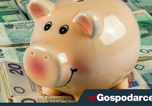 Co siódmy Polak nie ma żadnych oszczędności