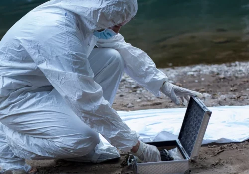 Robotnicy natrafili na ludzkie kości. Wezwano techników kryminalistyki