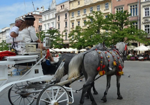 Kraków bez dorożek? Aktywiści ponownie protestowali na Rynku Głównym