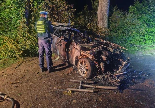 19-latek uderzył w drzewo. Kierowca zginął w płonącym samochodzie