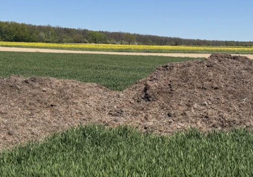Ile azotu, fosforu i potasu naprawdę dostarczają nawozy naturalne?