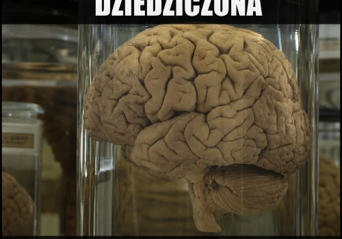 Spadek po rodzinie: sen odinstalowany