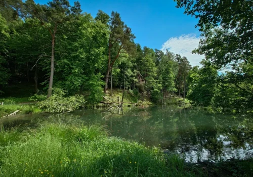 Górski klimat w sercu Mazur. Odkryj niezwykły Rezerwat „Źródła Rzeki Łyny”