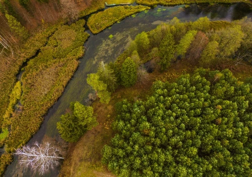 Zielona Tarcza Wschód. „Teren i natura jako sojusznicy wojska”