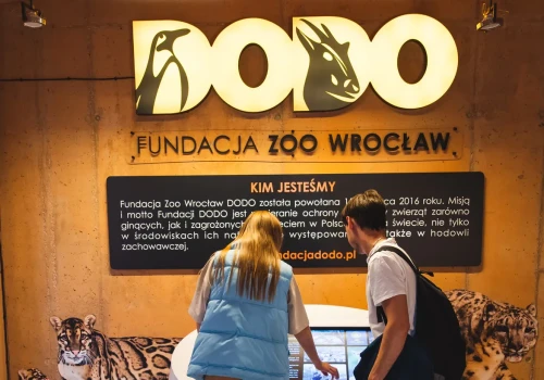 Od 10 lat ratują zagrożone gatunki. Wielki jubileusz Fundacji DODO