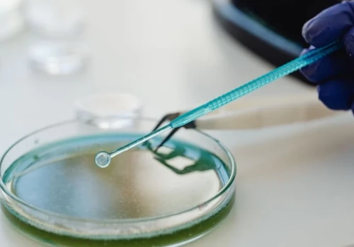 Jest nowa potencjalna terapia genowa dystrofii mięśniowej Duchennea