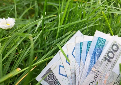 Zaliczki dopłat wcześniej niż zwykle? KE otwiera taką możliwość