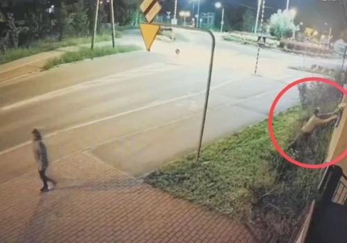 Bezwstydna kradzież w Jaworznie. Kobieta ukradła kwiatki z okna. Całość zarejestrował monitoring