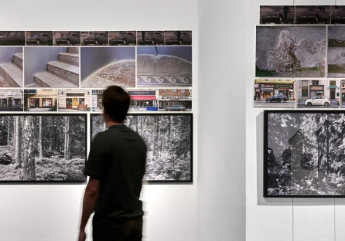 Chcesz zrozumieć naturę fotografii? MuFo zaprasza na wystawę „Preanalogue Postdigital”