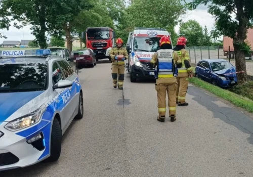 Auto uderzyło w drzewo koło Ciechanowa