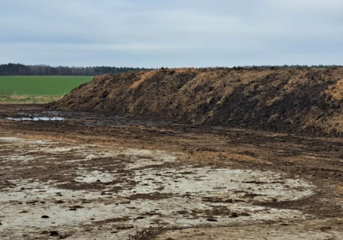 Mikroelementy ukryte w oborniku. Ile naprawdę trafia ich do gleby?