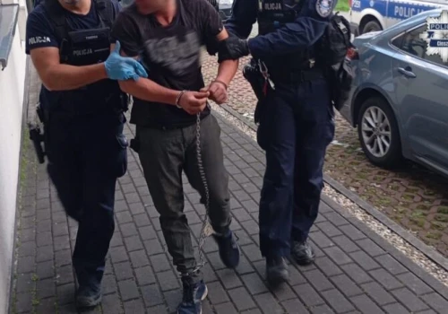 Śląskie/ 21-latek strzelał z wiatrówki do kobiet i zaatakował policjantów