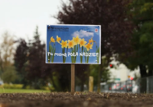 Kielecka Caritas podsumuje kampanię „Pola Nadziei”