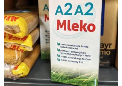 Wygląda jak nowość, ale to dobrze znane mleko. Dietetyk wyjaśnia, o co chodzi z A2A2