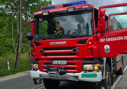 Gaszenie pożarów lasów – ćwiczenia służb