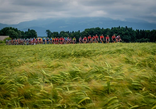 Tour of Slovenia 2026: W cieniu Tour de Suisse (zapowiedź)