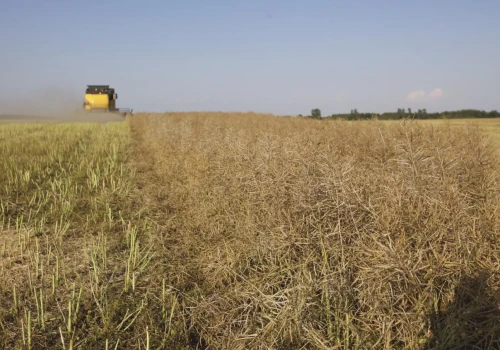 Dzierżawa ziemi po darowiźnie od rodziców. Czy potrzebna jest zgoda KOWR?
