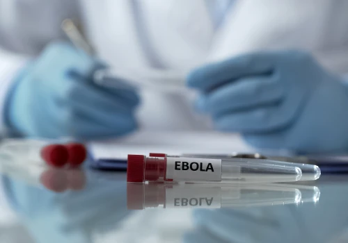 Liderzy G7 zobowiązują się do skoordynowanej reakcji na odradzającą się epidemię Eboli w DR Kongo i Ugandzie