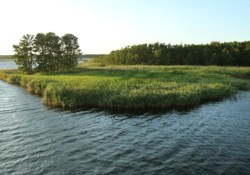 Oto najczystsze jeziora w Polsce. Nie tylko Mazury