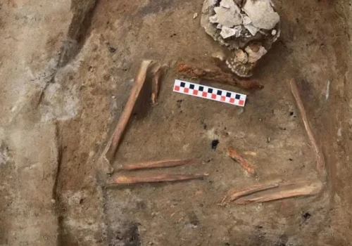Z nożem pod szyją. Bardzo nietypowy pochówek spod Dąbrówna