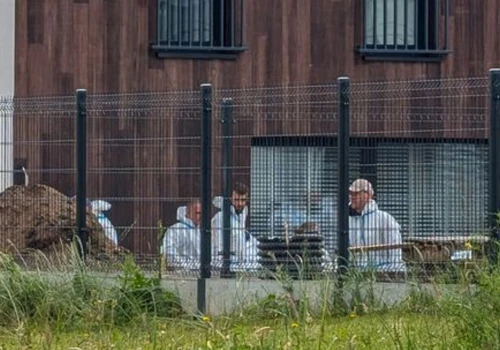 Szokujące tło makabry w Lutoryżu. W tle arabski partner, komornicy i olbrzymie długi.