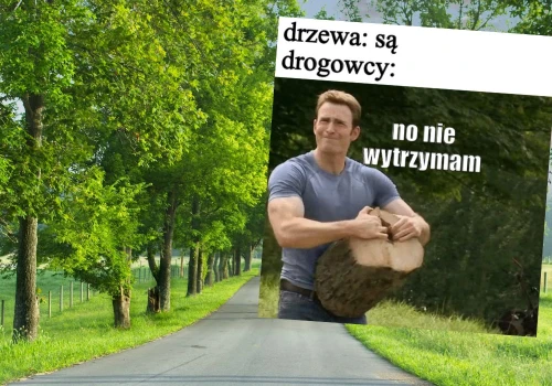 Afera wycinkowa: drogowcy chcą wyrąbać łącznie ok. 7000 drzew na Warmii i Mazurach