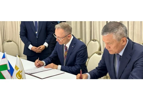 APS Energia z inwestycją w Uzbekistanie wartą 15 mln USD