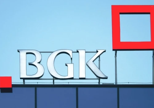 BGK wykłada 40 mln zł na polskiego giganta AI. Powstanie coś, czego jeszcze u nas nie było
