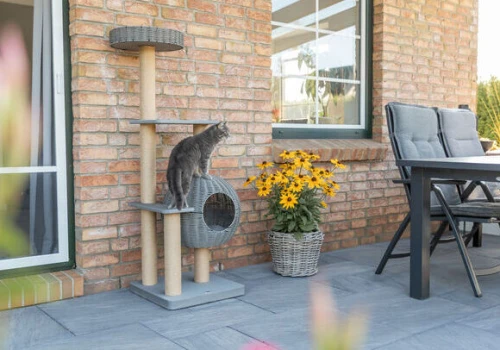 Kot na balkonie zasługuje na coś więcej niż parapet. Trixie pokazuje outdoorową serię