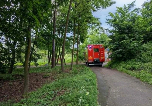 Bóbr postawił Straż Pożarną na nogi. Pojawiło się zagrożenie dla pociągów
