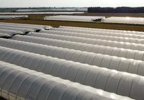 Dofinansowanie dla zrzeszonych producentów owoców – można składać wnioski