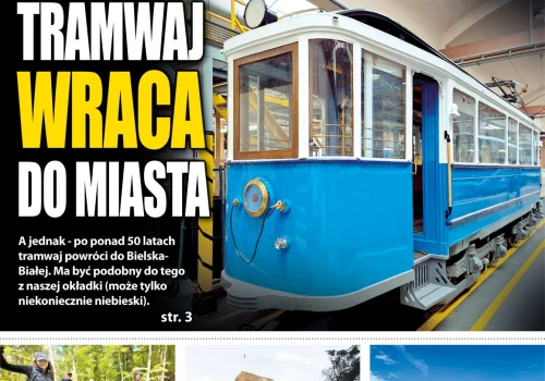 Nowa „Kronika”: wyrok za znieważenie urzędnika, wilki coraz bliżej domów i suchy potok w Mikuszowicach